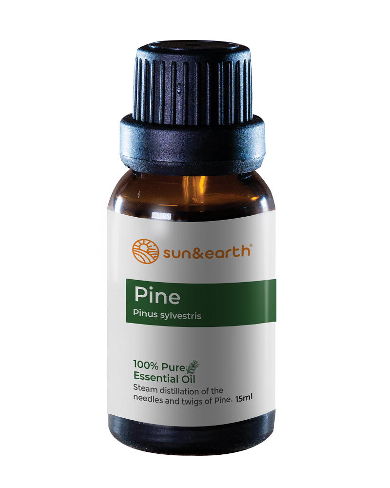 Pine Pure Essential Oil